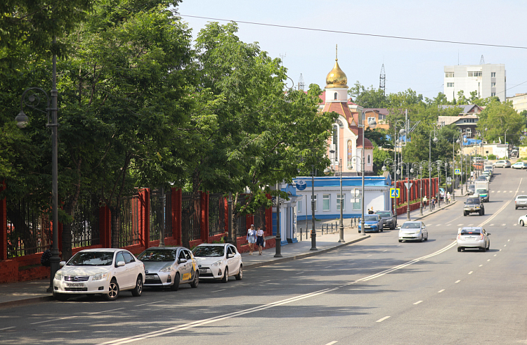 Более 100 заявок подано на конкурс грантов для ТОС Приморья.