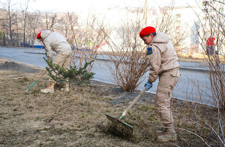 Приморцев приглашают на всероссийский субботник.