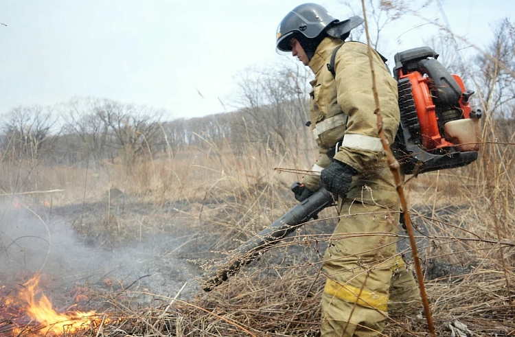 Более 600 тысяч рублей штрафов наложено на нарушителей пожароопасного периода в Приморье. Более 600 тысяч рублей штрафов наложено на нарушителей пожароопасного периода в Приморье.